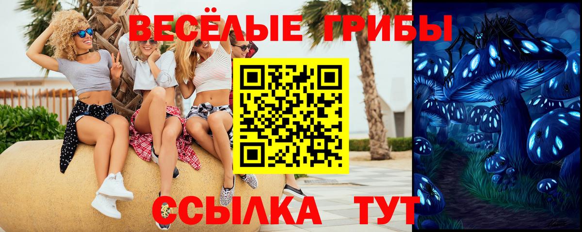 Галлюциногенные грибы ЛСД Карасук