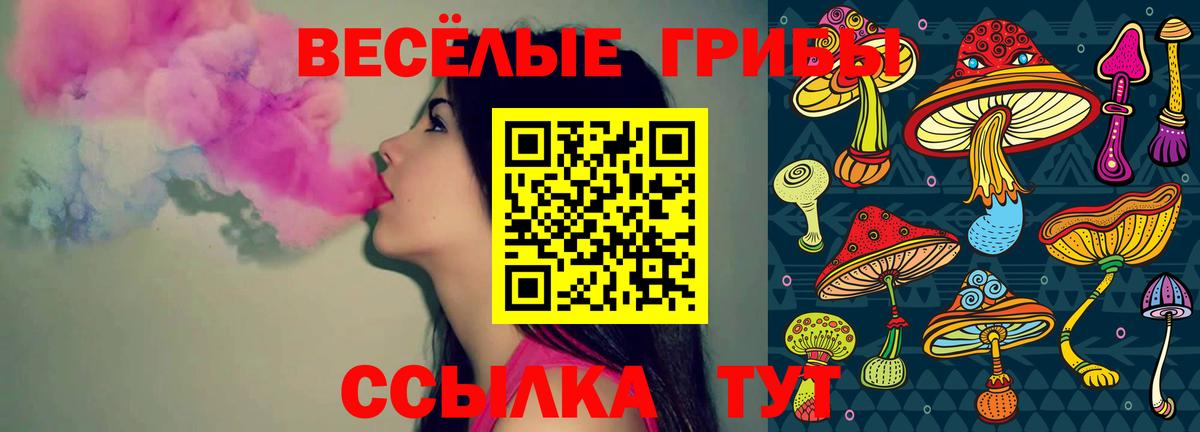 Карасук  Псилоцибиновые грибы мицелий  Вход с VPN 